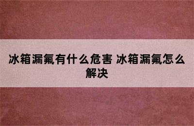 冰箱漏氟有什么危害 冰箱漏氟怎么解决